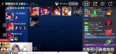 王者爆料玖旭是谁啊视频,王者爆料玖旭之谜，他是谁？